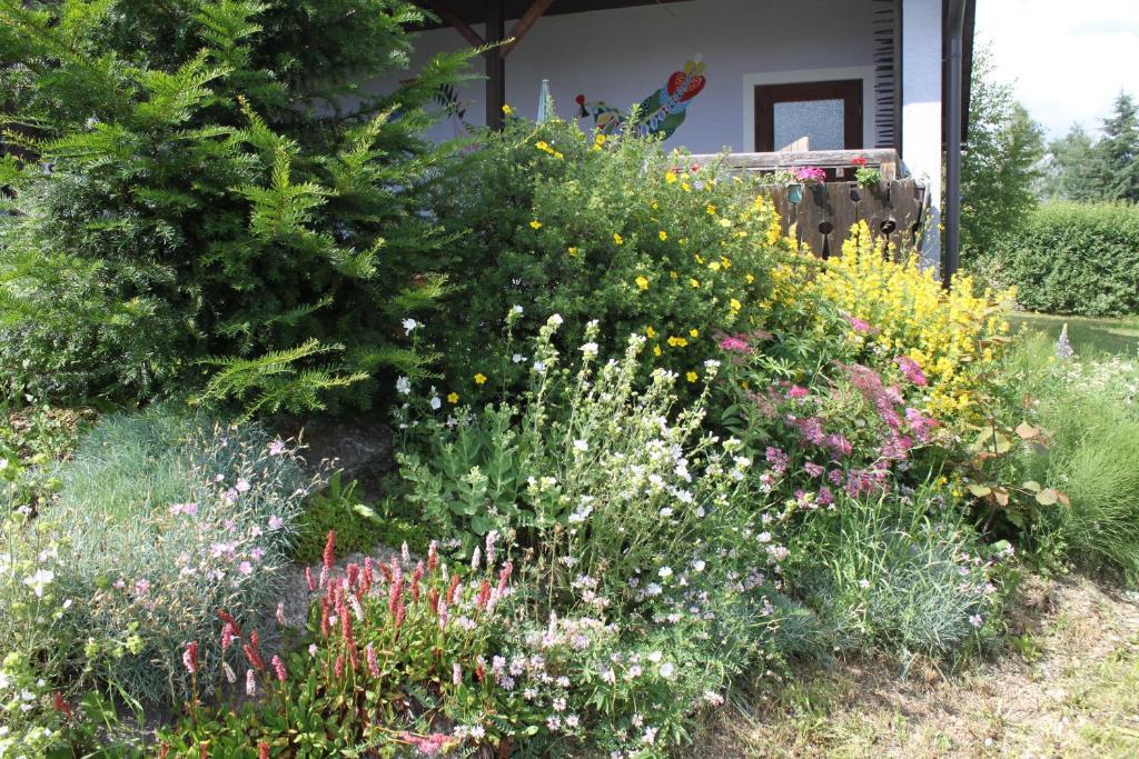 Barnkopf Haus Linda 아파트 외부 사진